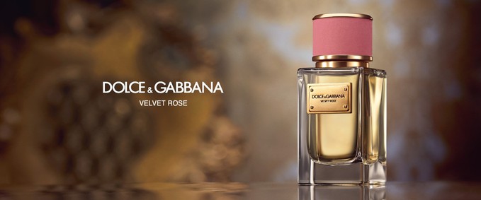 Dolce&Gabbana Velvet Rose